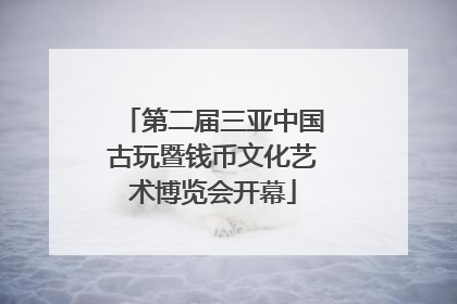 第二届三亚中国古玩暨钱币文化艺术博览会开幕