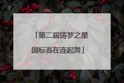第二届铸梦之星国标赛在连起舞
