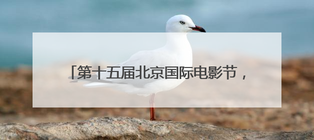 第十五届北京国际电影节，以NAERSI 30周年大秀拉开光影风尚的帷幕