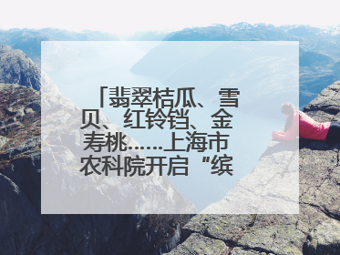 翡翠桔瓜、雪贝、红铃铛、金寿桃……上海市农科院开启“缤纷蔬菜之约”