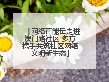 网络正能量走进澳门路社区 多方携手共筑社区网络文明新生态
