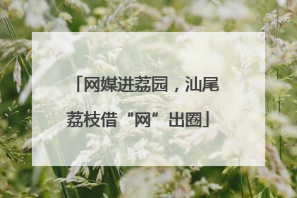网媒进荔园，汕尾荔枝借“网”出圈