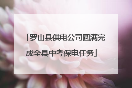 罗山县供电公司圆满完成全县中考保电任务