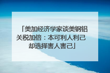 美加经济学家谈美钢铝关税加倍：本可利人利己 却选择害人害己