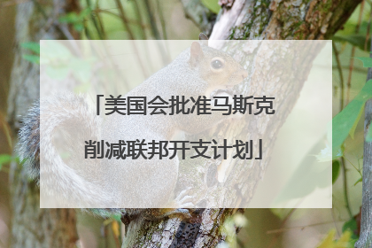 美国会批准马斯克削减联邦开支计划