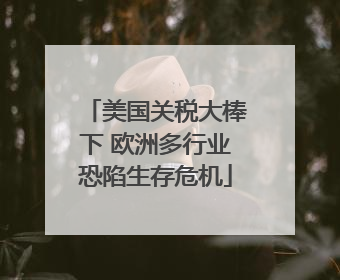 美国关税大棒下 欧洲多行业恐陷生存危机
