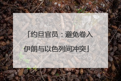 约旦官员：避免卷入伊朗与以色列间冲突