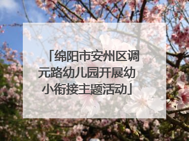 绵阳市安州区调元路幼儿园开展幼小衔接主题活动