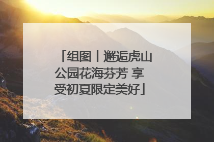 组图丨邂逅虎山公园花海芬芳 享受初夏限定美好