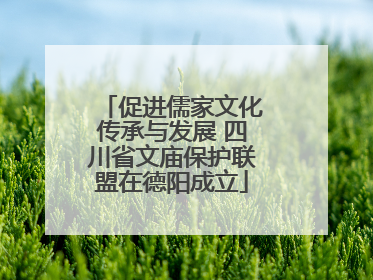 促进儒家文化传承与发展 四川省文庙保护联盟在德阳成立