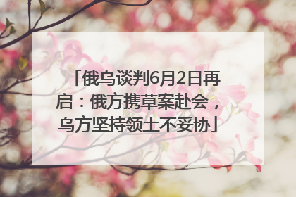 俄乌谈判6月2日再启：俄方携草案赴会，乌方坚持领土不妥协