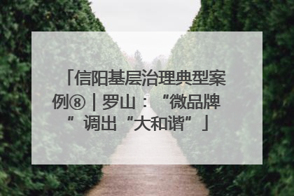 信阳基层治理典型案例⑧｜罗山：“微品牌”调出“大和谐”