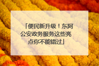 便民新升级！东阿公安政务服务这些亮点你不能错过