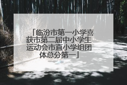 临汾市第一小学喜获市第二届中小学生运动会市直小学组团体总分第一