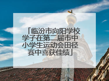 临汾市向阳学校学子在第二届市中小学生运动会田径赛中喜获佳绩