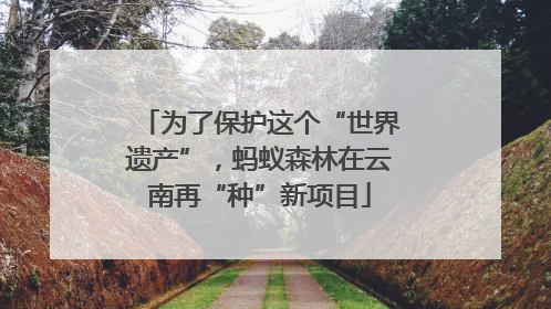 为了保护这个“世界遗产”，蚂蚁森林在云南再“种”新项目