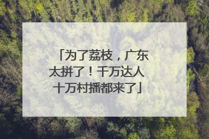 为了荔枝，广东太拼了！千万达人十万村播都来了
