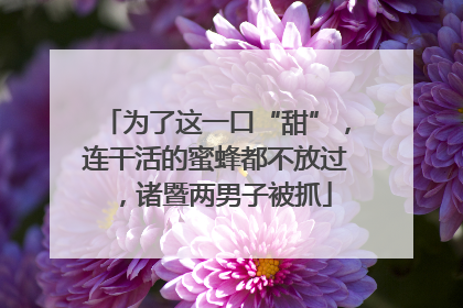 为了这一口“甜”，连干活的蜜蜂都不放过，诸暨两男子被抓