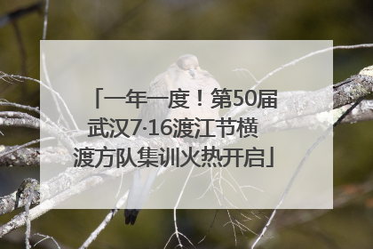 一年一度！第50届武汉7·16渡江节横渡方队集训火热开启