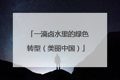 一滴卤水里的绿色转型（美丽中国）