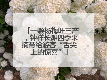 一颗杨梅旺三产，钟祥长滩四季采摘带给游客“舌尖上的惊喜”