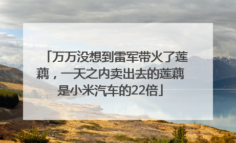 万万没想到雷军带火了莲藕，一天之内卖出去的莲藕是小米汽车的22倍