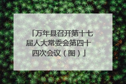 万年县召开第十七届人大常委会第四十四次会议（图）