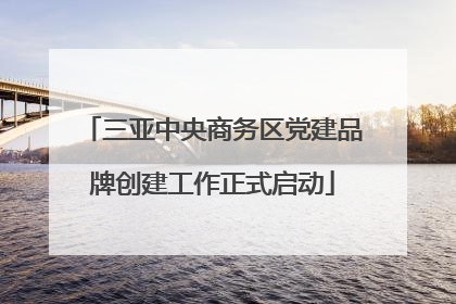 三亚中央商务区党建品牌创建工作正式启动