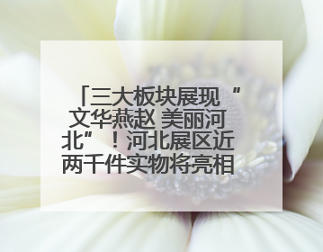 三大板块展现“文华燕赵 美丽河北”！河北展区近两千件实物将亮相深圳文博会