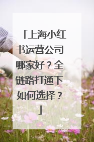 上海小红书运营公司哪家好？全链路打通下如何选择？