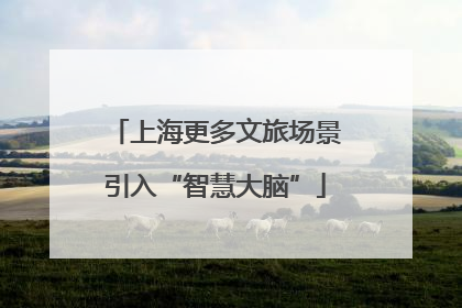 上海更多文旅场景引入“智慧大脑”