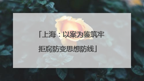 上海：以案为鉴筑牢拒腐防变思想防线