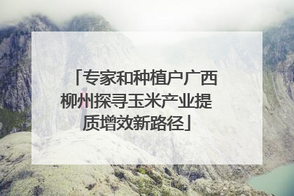 专家和种植户广西柳州探寻玉米产业提质增效新路径