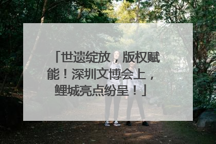 世遗绽放，版权赋能！深圳文博会上，鲤城亮点纷呈！