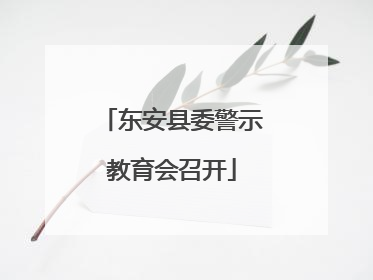 东安县委警示教育会召开