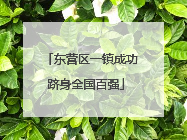 东营区一镇成功跻身全国百强