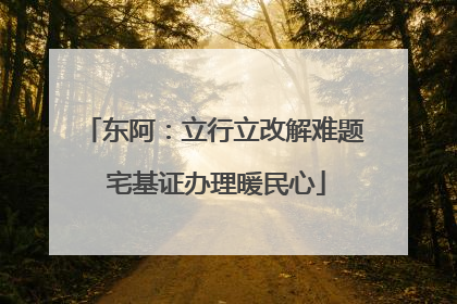东阿：立行立改解难题 宅基证办理暖民心