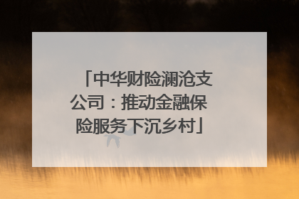 中华财险澜沧支公司：推动金融保险服务下沉乡村