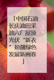中国石油长庆油田采油六厂屋顶光伏“新衣”扮靓绿色发展新画卷