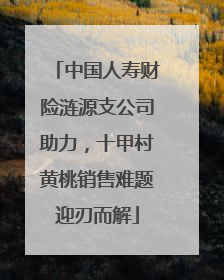 中国人寿财险涟源支公司助力，十甲村黄桃销售难题迎刃而解