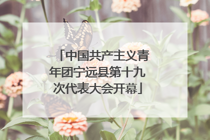 中国共产主义青年团宁远县第十九次代表大会开幕