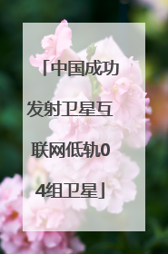 中国成功发射卫星互联网低轨04组卫星