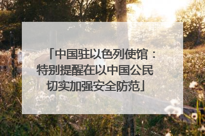 中国驻以色列使馆：特别提醒在以中国公民切实加强安全防范