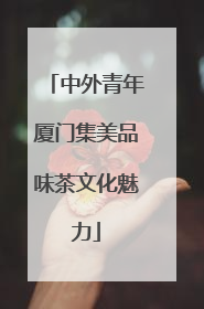 中外青年厦门集美品味茶文化魅力