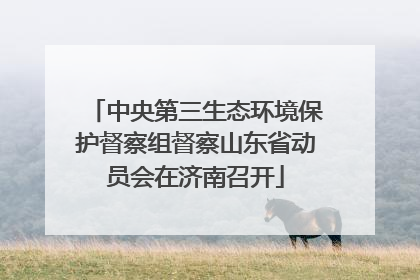 中央第三生态环境保护督察组督察山东省动员会在济南召开