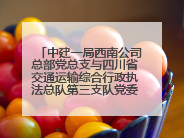 中建一局西南公司总部党总支与四川省交通运输综合行政执法总队第三支队党委、万源市草坝镇莲花院村党支部开展党建联建