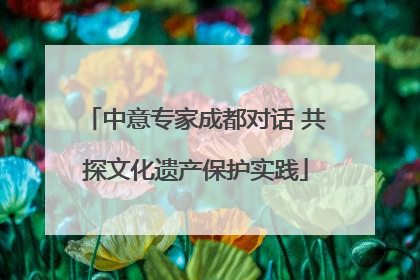 中意专家成都对话 共探文化遗产保护实践
