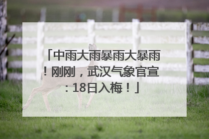 中雨大雨暴雨大暴雨！刚刚，武汉气象官宣：18日入梅！