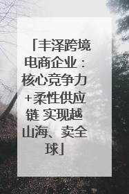 丰泽跨境电商企业：核心竞争力+柔性供应链 实现越山海、卖全球
