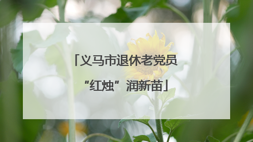 义马市退休老党员“红烛”润新苗